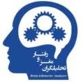 موسسه تحلیلگران مغز و رفتار