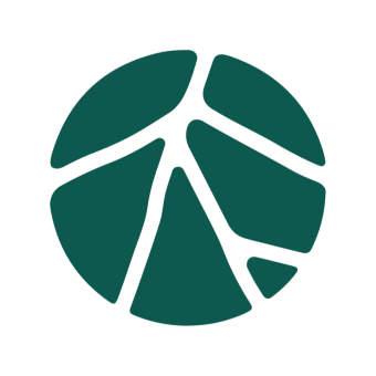 استارتاپ ریشه