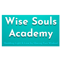 آکادمی Wise Souls