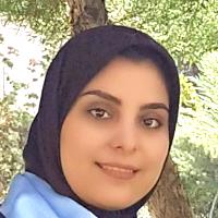 ستاره ایوبی