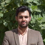 محمدحسین مدیحی