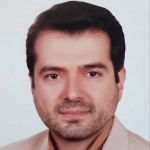 سیدمحمدرضا افضلی