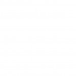 نیلوفر دروی