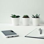 حامد بختیاری