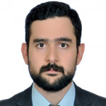 رامان فدایی