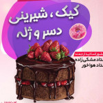 رویا مشکی زاده