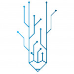 امیر علی عالی نژاد