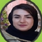 پریناز توکل