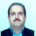 مهندس رامک حمیدی جو