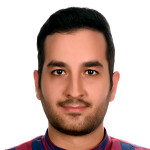 سید امیر محمد مستقیم