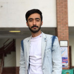 سید امیر ذوالفقاری