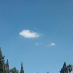 فهیمه موحدی