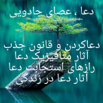 نگار صالحی
