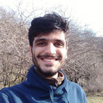 سینا حمیدیان