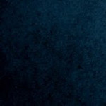 پریسا امانی