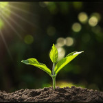 مریم مشتاقی