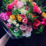 سرکار خانم دکتر مهدیزاده