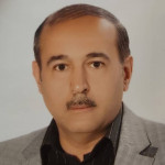 رامین ناجی زاده