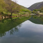 دکتر دهنوی