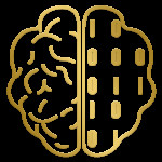 پشتیبانی باشگاه هک مغز