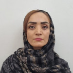 فاطمه امیدی