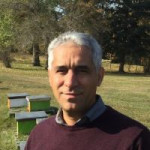 رسول بحرینی