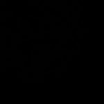 سمیه اسد بیگی