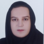 آرزو سلمانی رفعت