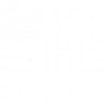 مژده بوربور