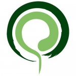 پریسا باقری اصل