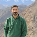 مرتضی پورمیرزای