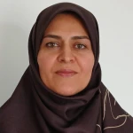وحیده محمدی