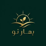 صبا کریمی