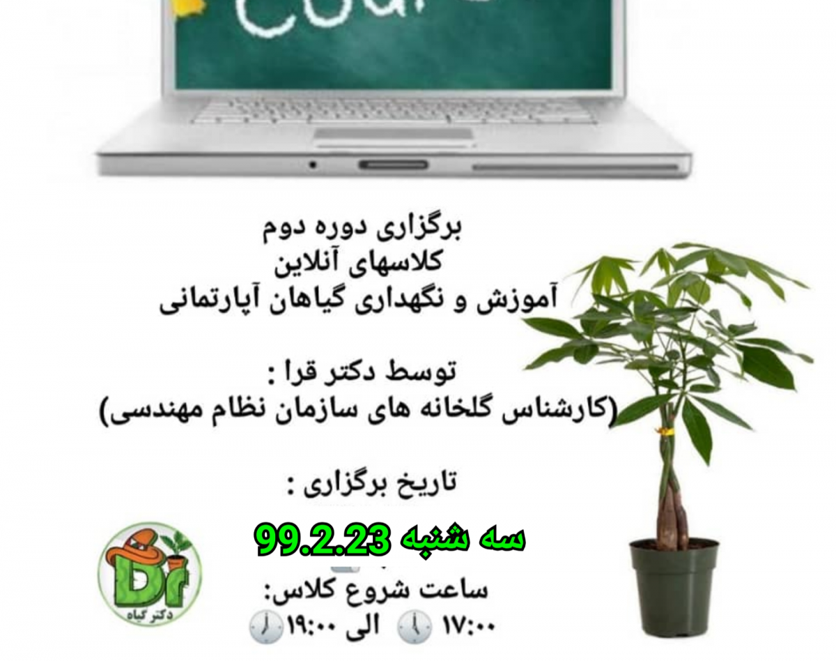 وبینار نگهداری و مراقبت گیاهان آپارتمانی