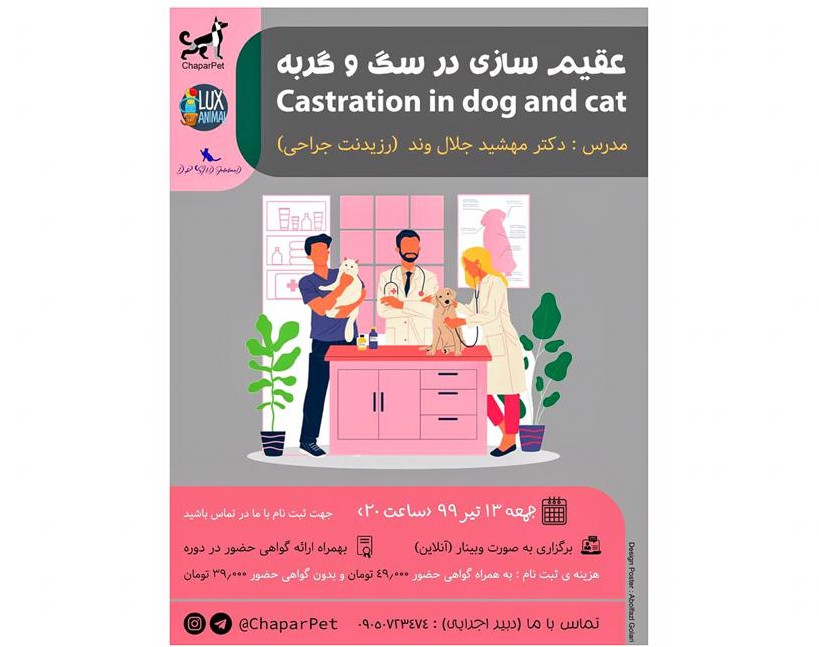 وبینار عقیم سازی در سگ و گربه