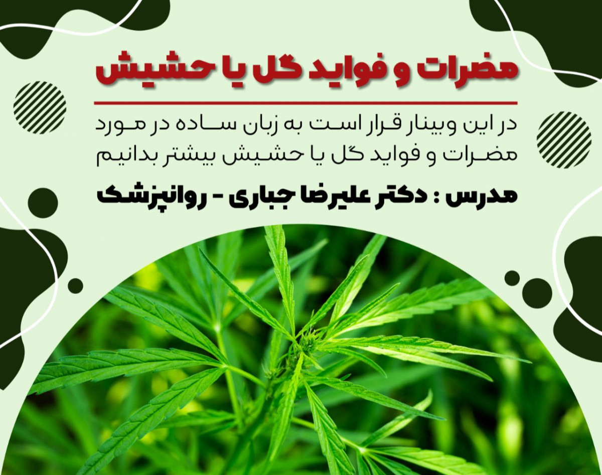 وبینار مضرات و فواید گل، وید یا ماری جوآنا