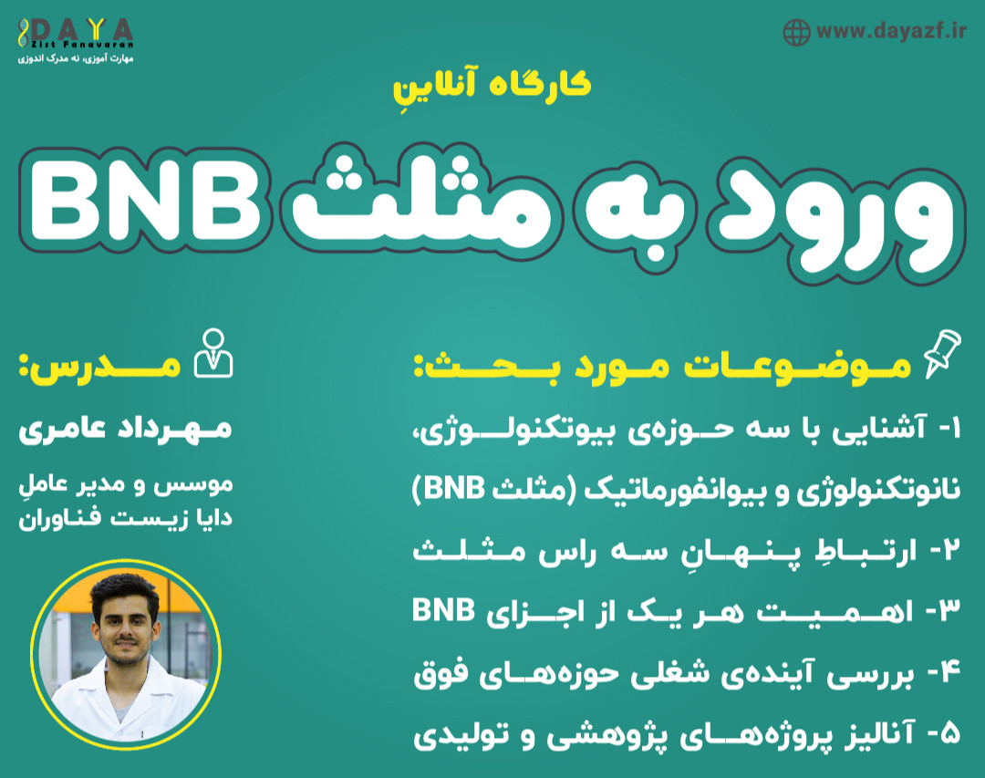 وبینار ورود به مثلث BNB