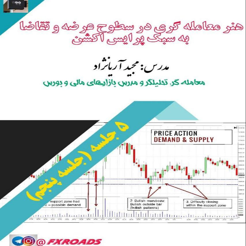 وبینار هنر معامله گری در سطوح عرضه و تقاضا به سبک پرایس اکشن (جلسه پنجم)