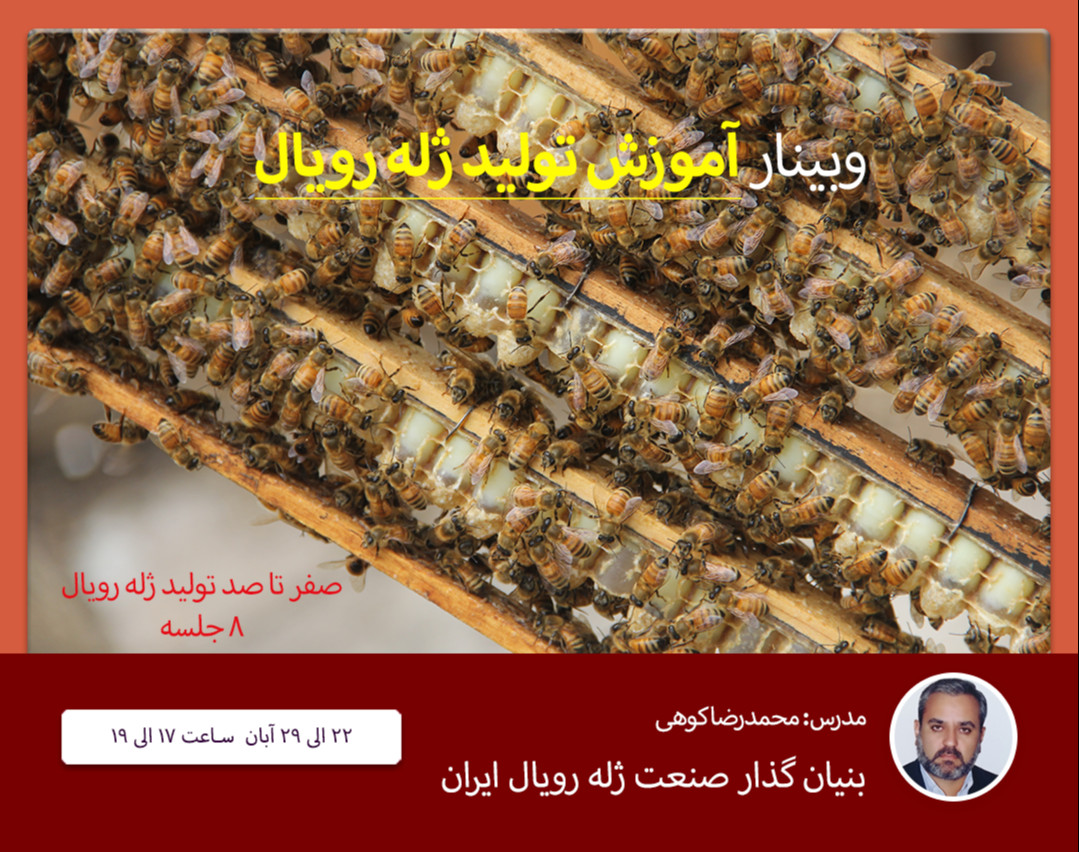 وبینار کلاس آموزش تولید ژل رویال