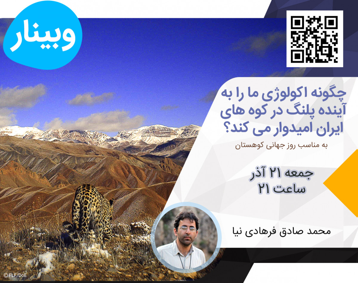 وبینار چگونه اکولوژی ما را به آینده پلنگ در کوه های ایران امیدوار می کند؟
