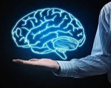 وبینار یادگیری مغزمحور