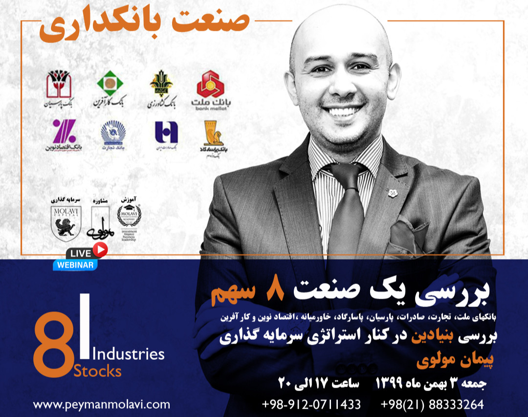 وبینار بررسی یک صنعت ۸ سهم (ملت، پاسارگاد، صادرات، تجارت، خاورمیانه،کار آفرین، پارسیان،اقتصادنوین)