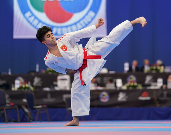 وبینار آموزش داوری کاتای سبک های آزاد