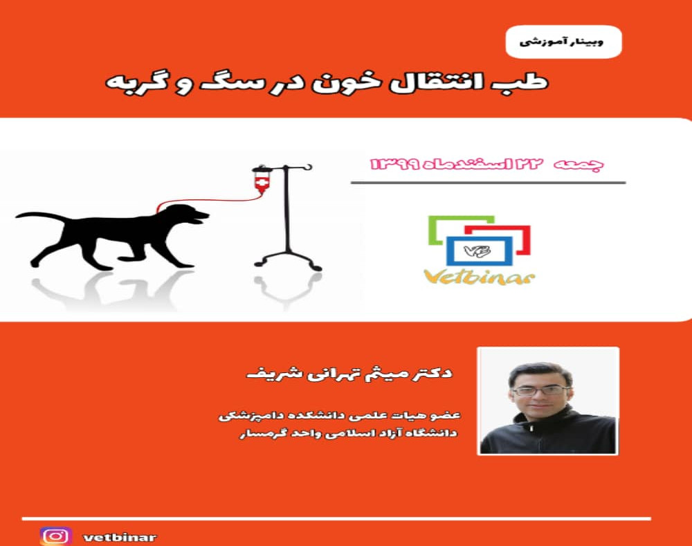 وبینار طب انتقال خون در سگ و گربه