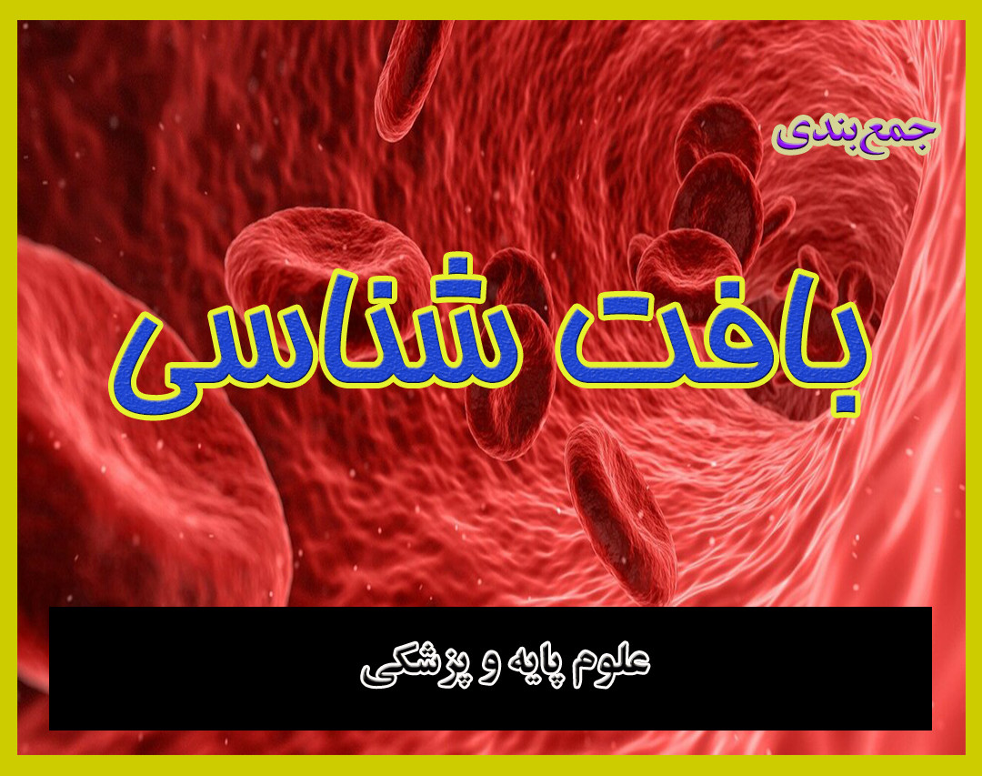 وبینار جمع بندی بافت‌شناسی