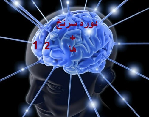 دوره آموزشی سرنخ سال 1400 از دست نده