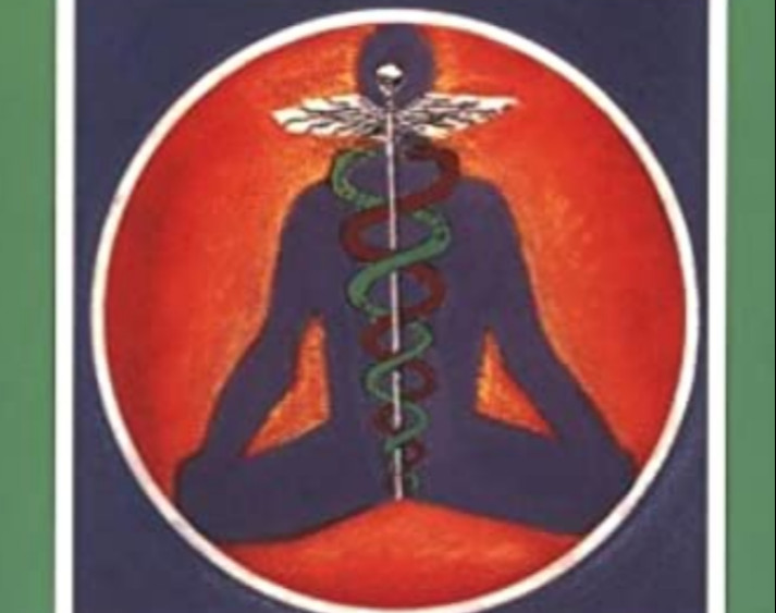 وبینار مدیریت سلامت و کنترل بیماریهای عمومی با یوگا