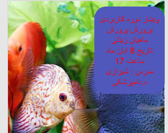 دوره کاربردی پرورش پرورش ماهیان زینتی