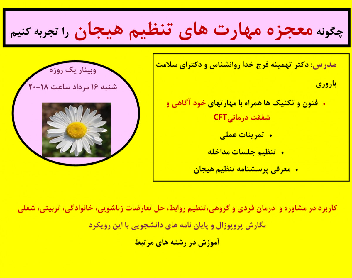 وبینار چگونه معجزه مهارت های تنظیم هیجان را تجربه کنیم