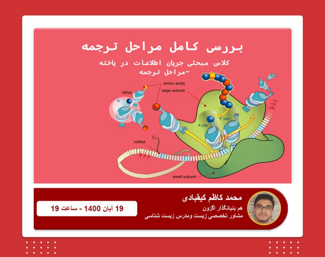 وبینار کلاس بررسی کامل مراحل ترجمه